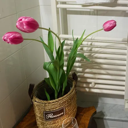 Bed and breakfast Santa Caterina Da Siena 4*